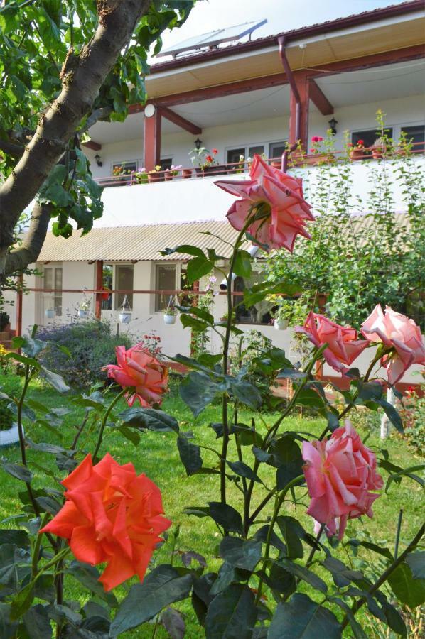 فندق Casa Gia كوستِنيست المظهر الخارجي الصورة