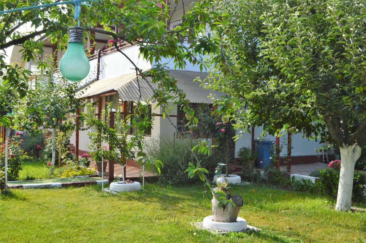 فندق Casa Gia كوستِنيست المظهر الخارجي الصورة